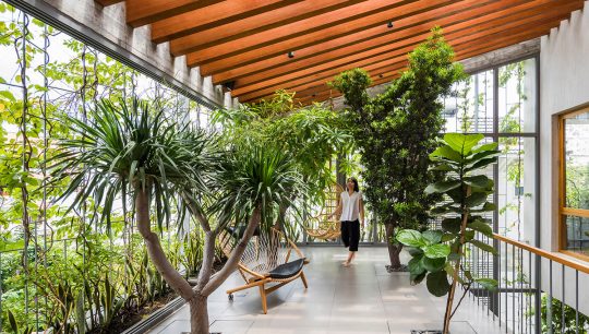 biophilic design